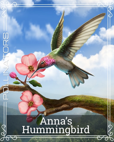 Pogo Anna's Hummingbird Pollinators Badge