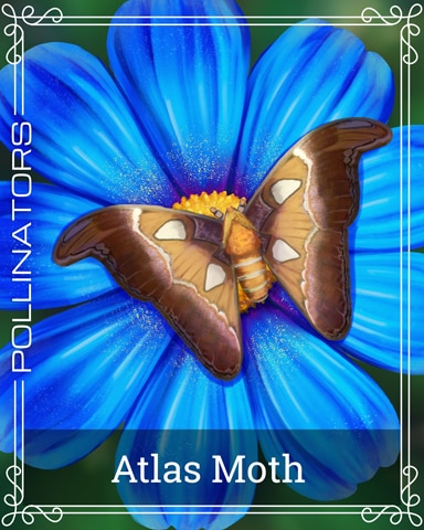 Pogo Snowbird Solitaire Atlas Moth Pollinators Badge