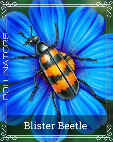 Pogo Blister Beetle Pollinators Badge