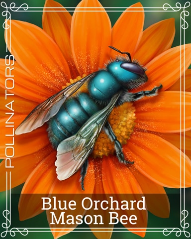 Pogo Blue Orchard Mason Bee Pollinators Badge