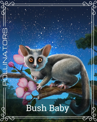 Pogo Bush Baby Pollinators Badge