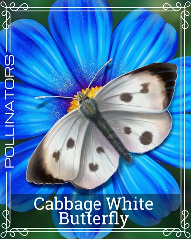 Pogo Cabbage White Butterfly Pollinators Badge