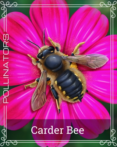 Pogo Carder Bee Pollinators Badge