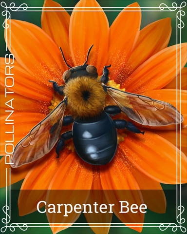 Pogo Carpenter Bee Pollinators Badge
