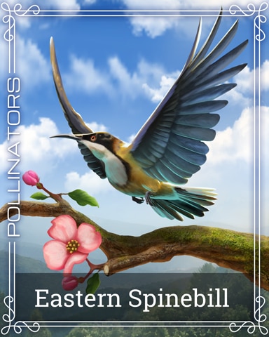 Pogo Eastern Spinebill Pollinators Badge