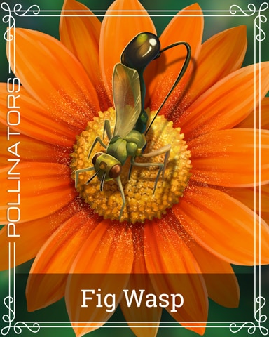 Pogo Jigsaw Treasure Hunter HD Fig Wasp Pollinators Badge