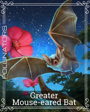 Pogo First Class Solitaire HD Greater Mouse-eared Bat Pollinators Badge