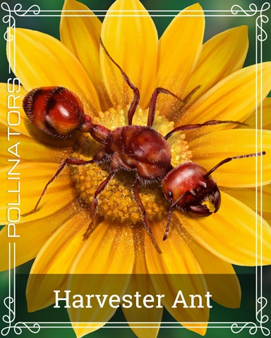 Pogo Word Whomp HD Harvester Ant Pollinators Badge