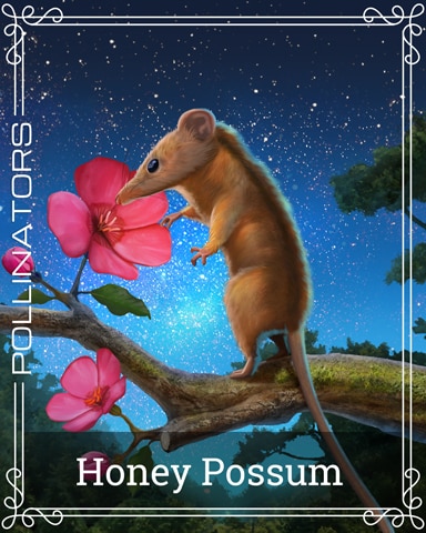 Pogo Bookworm HD Honey Possum Pollinators Badge