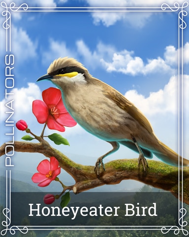 Pogo Payday Freecell HD Honeyeater Bird Pollinators Badge