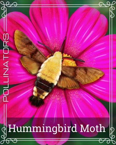 Pogo Hummingbird Moth Pollinators Badge