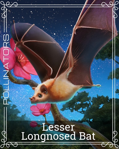 Pogo Lesser Long-nosed Bat Pollinators Badge