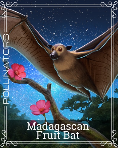Pogo Madagascan Fruit Bat Pollinators Badge