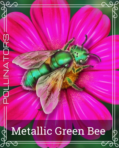 Pogo Metallic Green Bee Pollinators Badge