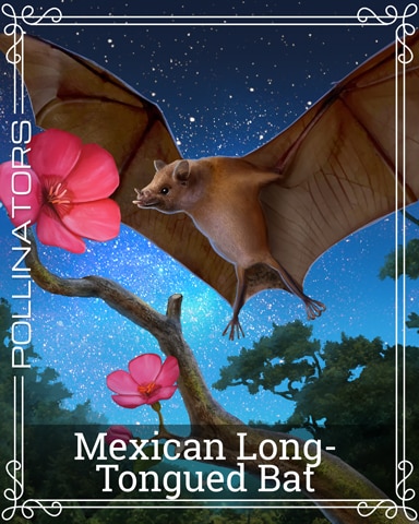 Pogo Mexican Long-tongued Bat Pollinators Badge