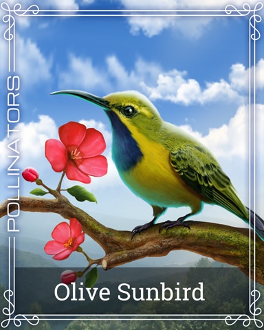 Pogo Olive Sunbird Pollinators Badge