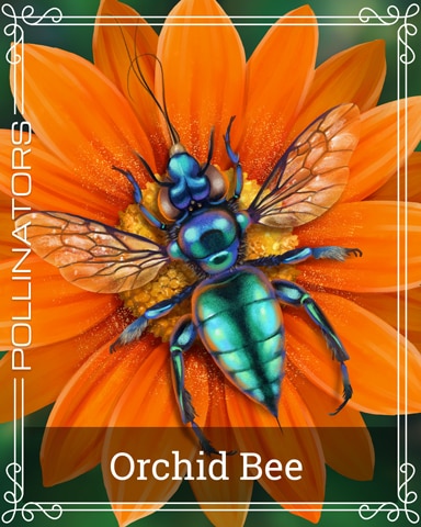 Pogo Orchid Bee Pollinators Badge