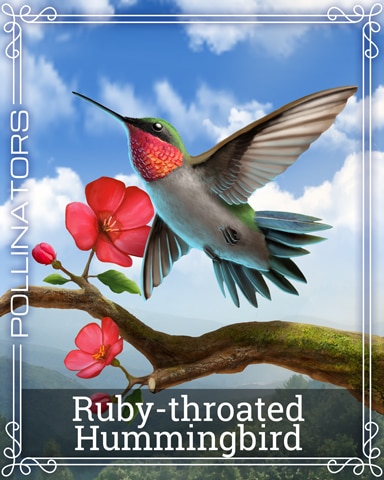 Pogo Thousand Island Solitaire HD Ruby-throated Hummingbird Pollinators Badge