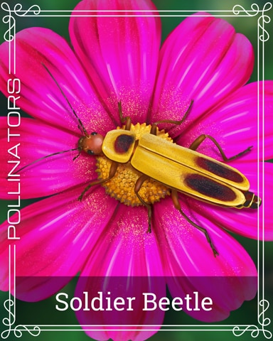 Pogo Soldier Beetle Pollinators Badge
