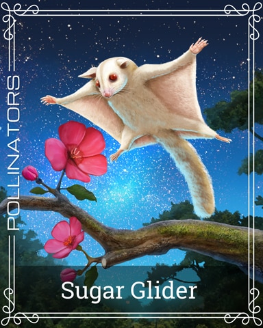 Pogo Sugar Glider Pollinators Badge