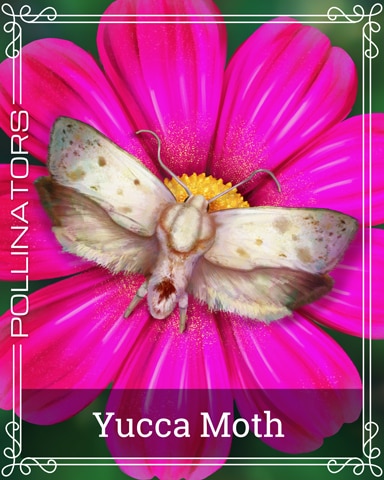 Pogo Yucca Moth Pollinators Badge