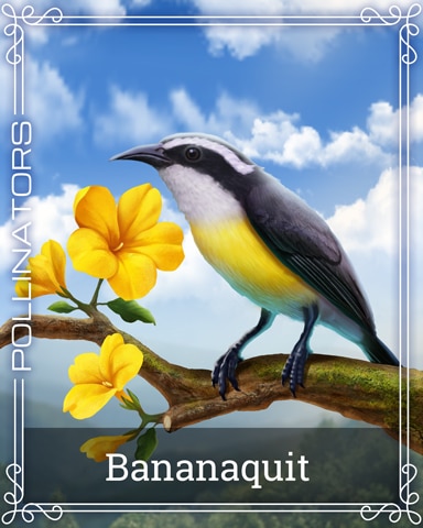 Pogo Bananaquit Pollinators Badge