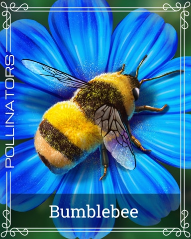 Pogo Sweet Tooth Town Bumble Bee Pollinators Badge