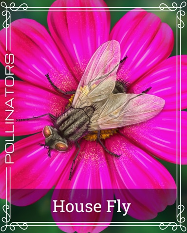 Pogo Housefly Pollinators Badge