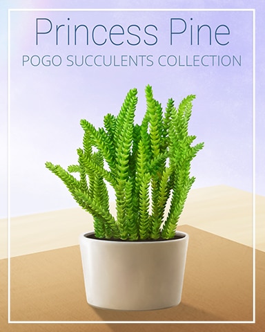 Princess Pine Succulent Badge - Mahjong Safari HD