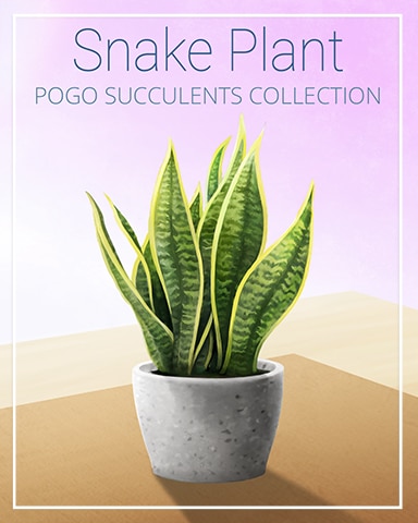 Snake Plant Succulent Badge - Crossword Cove HD