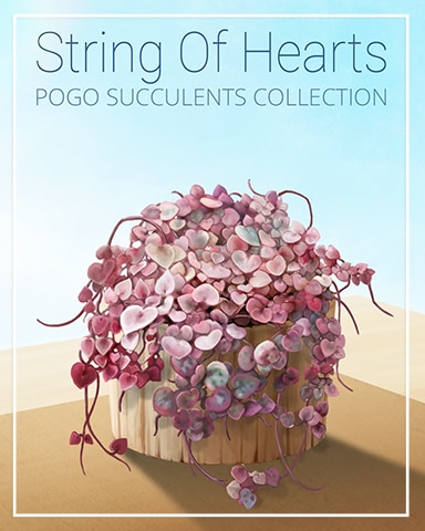 String of Hearts Succulent Badge - Canasta HD
