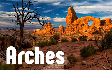 Vanishing Trail Arches Badge