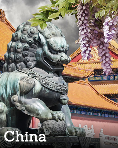 Paranormal Destinations China Badge