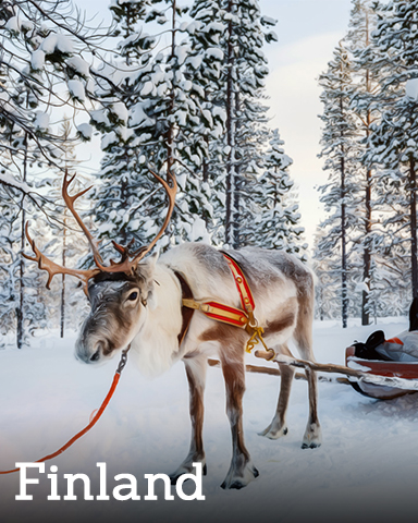 Winter Wonderland Finland Badge