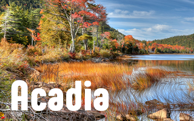 Vanishing Trail Acadia Badge