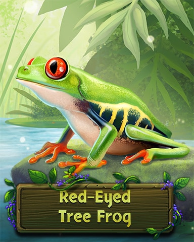 Pogo Mahjong Garden HD Red-Eyed Tree Frog Badge