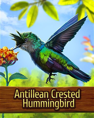Mahjong Garden HD Antillean Crested Hummingbird Badge