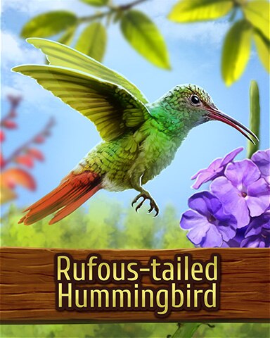 Mahjong Garden HD Rufous-tailed Hummingbird Badge