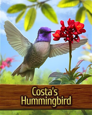 Mahjong Garden HD Costas Hummingbird Badge