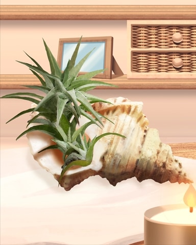 Aloe Conch Seashells and Plants Badge - Quinn's Aquarium