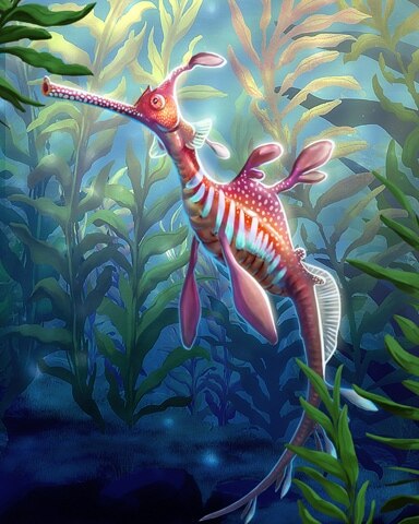 Quinn's Aquarium Pink Weedy Seadragons Badge