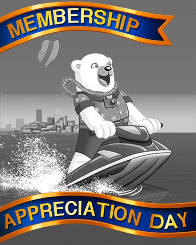 Pogo Snowbird Solitaire Polar Jetskiing Appreciation Badge