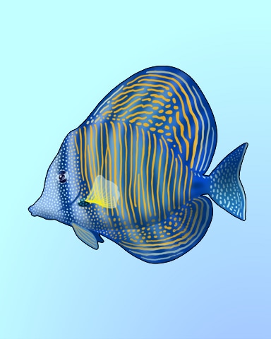 Quinn's Aquarium Sail Away Badge