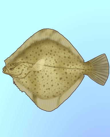 Quinn's Aquarium Flat Flounder Badge
