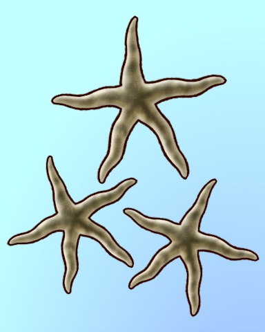 Quinn's Aquarium Sandy Stars Badge