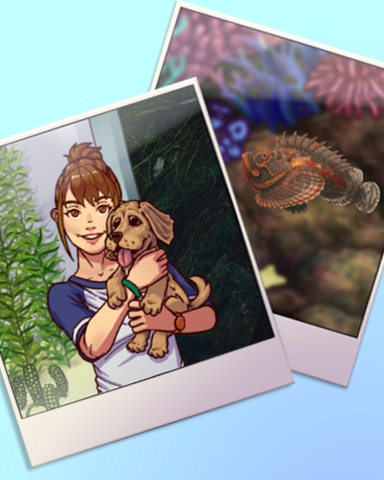 Quinn's Aquarium Double Take Badge