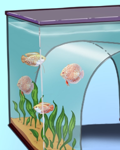 Quinn's Aquarium Full House Badge