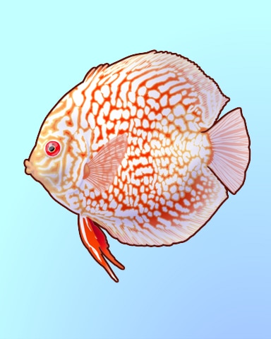 Quinn's Aquarium Don't Throw This Discus Badge