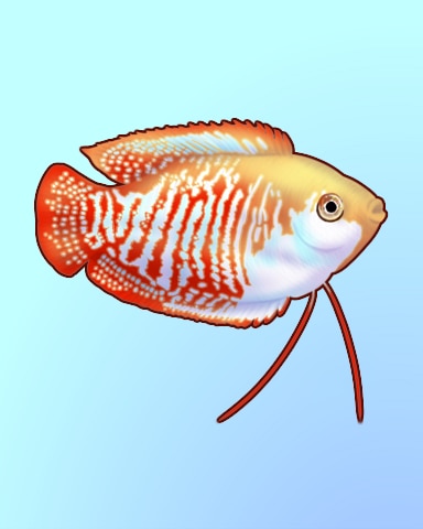 Quinn's Aquarium Small Swimmer Badge