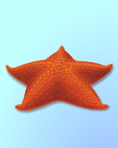 Quinn's Aquarium Soft Stars Badge